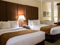 Comfort Suites Cumming-Atlanta Near Northside Hospital Forsyth Hotels in Forsyth County