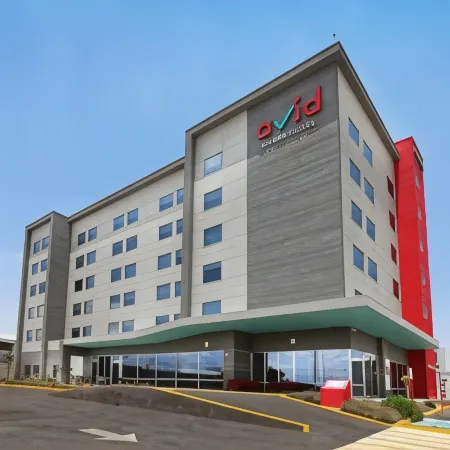 avid hotel QUERETARO CENTRO SUR by IHG