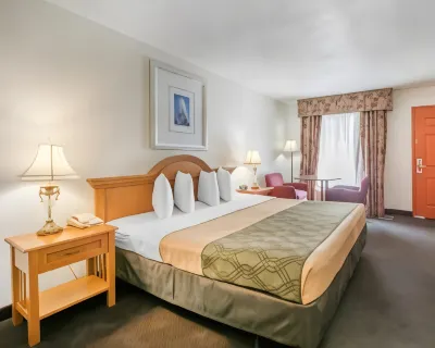 Econo Lodge Airport - RJ Stadium Hotels near Steinbrenner Field