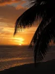 Motu Beachfront Art Villas - Villas