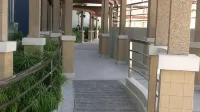 Palm Tree Genlex Condo