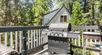 Arrowhead cabin sleeps 12 fast wifi newly remodeled