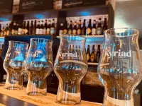 Lille Gare - Grand Palais - Quầy bar