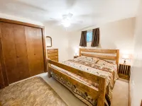 Cozy Bear Cabin - Homestays