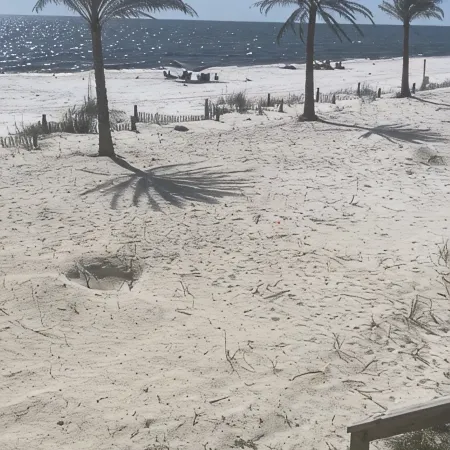 Captain Roy's -- A treasure on the beach<br>Beachfront, Beachfront, Beachfront <br>