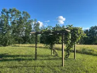 Grassy Meadow Getaway - HOT TUB! - 3-Star