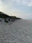 Unwind at Our Beautifull Dog Friendly Beach with Private Access! - Beach