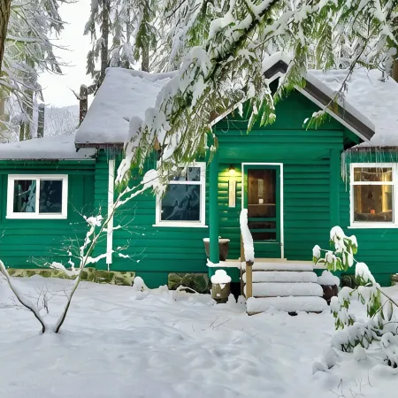 Cozy with Modern Comforts, EV Charger, Huge Fenced Yard, Last Minute Feb Deals