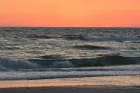 Totally Remodeled Beachfront Studio-Step out your door onto the sand. Really! D - 4-Star