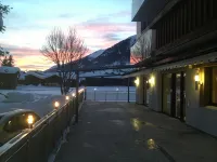 Hotel Astoria - Haustierfreundliche