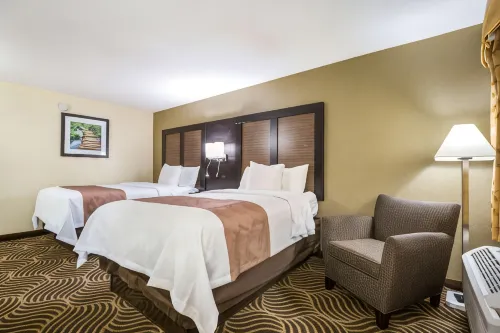 Quality Inn & Suites Florence - Cincinnati South - Wifi