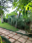 Salt Rock Manor