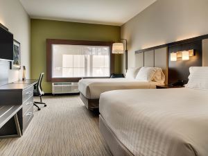 Holiday Inn Express & Suites Charleston NE MT Pleasant US17