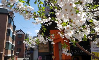 Able Guesthouse Hongdae