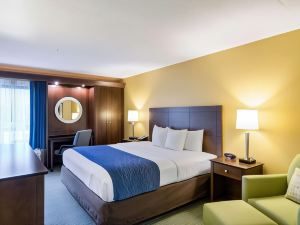 Comfort Inn and Suites Newark