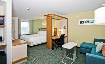 SpringHill Suites Mobile