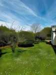 Cherry Bungalow Guesthouse Hotels in Highworth