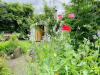 Wester Auchraw Croft B&B