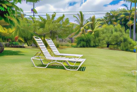 Old Hawaiian B and B