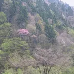 Yunosawa Onsen Mori No Shiki Các khách sạn ở Shimukappu