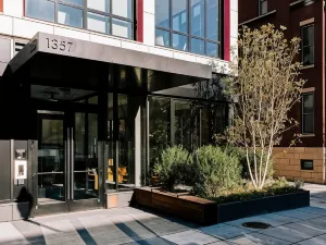 Black Swan - Liz DC - Executive Flat