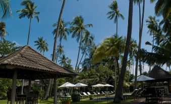 Bon Ton Antique Wooden Villas