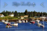 Eclectic & Forested Cabin w/ Firepit & Beach Access Near Acadia Schoodic