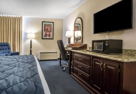 퀄리티 인 샴버그