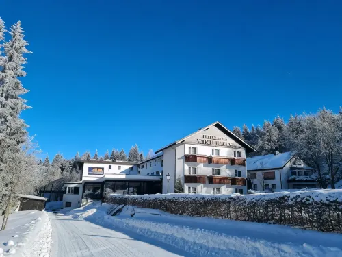 Hotel Winterberg Resort Hotels in Winterberg