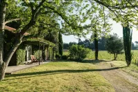 Wine Tourism - Quinta do Ameal -  case vacanza in affitto