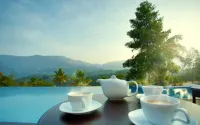 The Leaf Munnar - Pools