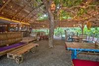 Playa 506 Beachfront Hostel Hotels in Cocles