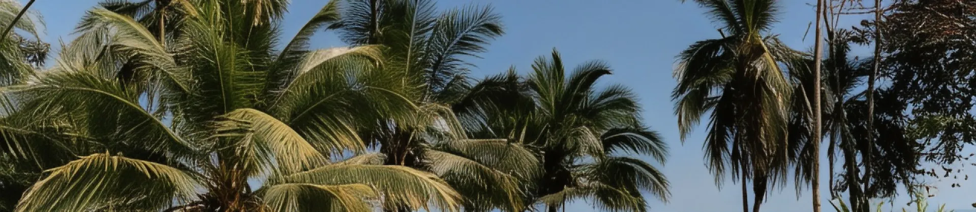 Gehobene Hotels 