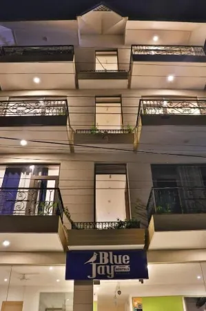 The Blue Jay Hostel - Dorms & Room's