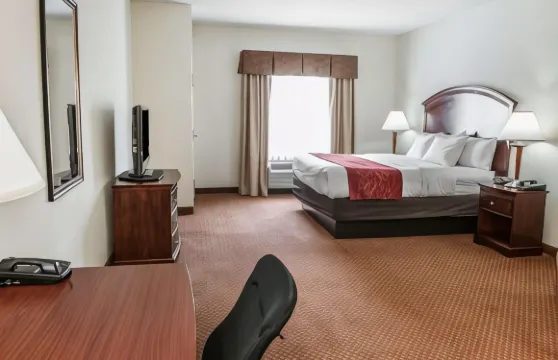 舒適套房酒店-近印第安納波利斯機場