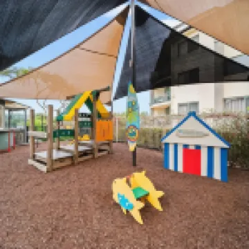 Princess Palm on the Beach