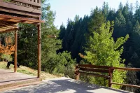 Barn Haus by the Creek. Dog Friendly! - 2 stjerner