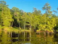 Lake Sam Rayburn Cabin!  DIRECT WATERFRONT! Bring Jet Skies, Boat, Fishing Gear! - Alppimaja