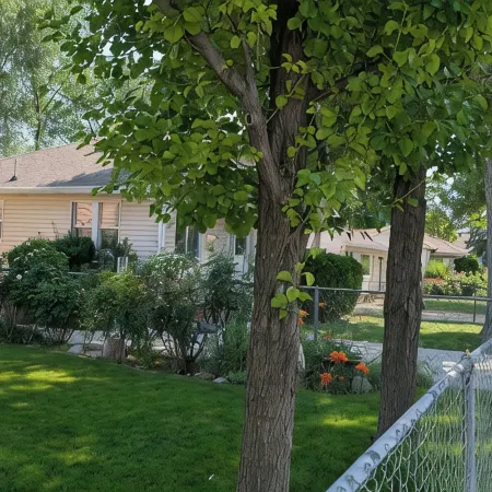 New Charming Murray 2 BR Home just  20 min to mtns or downtown, 5 min to IMC.