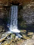Hikers and waterfall chaser friendly cabin - Homestays