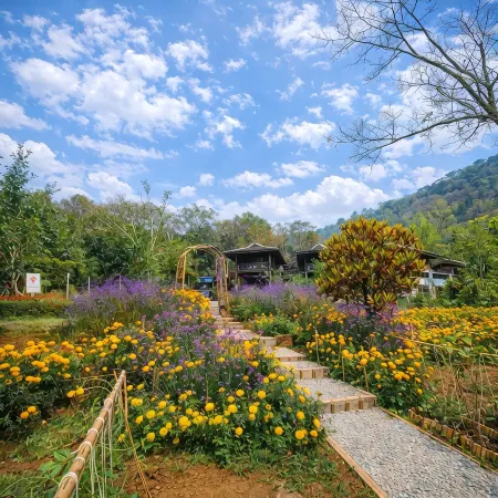 Camelliana Horizon Pongyang - Nature Retreat