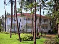 Seagaia Forest Cottage(Old:Cottage HIMUKA) Hotels near Eda Shrine