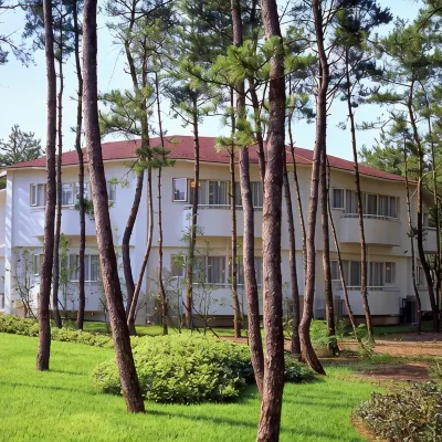 Seagaia Forest Cottage(Old:Cottage HIMUKA) Hotels near Eda Shrine