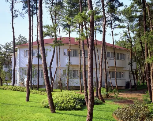 Seagaia Forest Cottage(Old:Cottage HIMUKA)