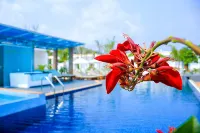 Long Set Resort - С бассейном