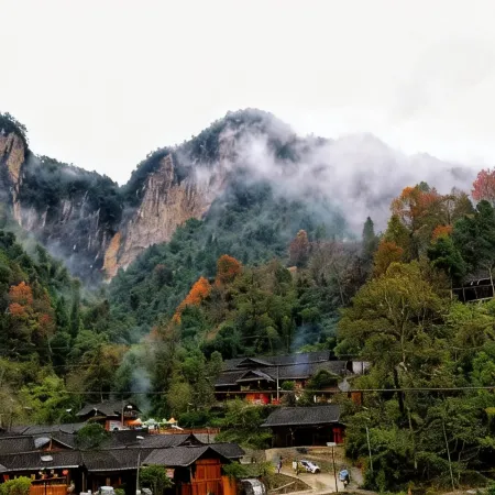 Guizhou Tongren Treehouse Huangu Homestay