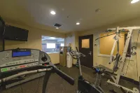 Holiday Inn Express PORTLAND EAST - TROUTDALE by IHG - Gym
