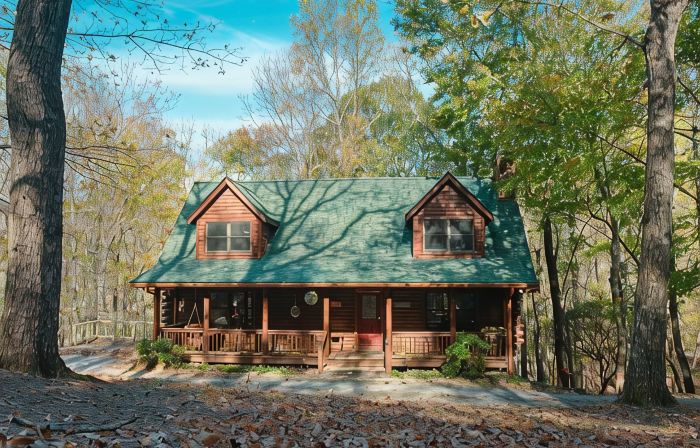 Hidden Honey Hole Cabin: 4 BEDROOM, POOLS, TENNIS/PICKLEBALL, HIKING, LAKE AREA