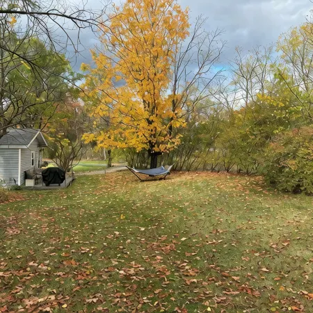 Country Cottage with beautiful views and easy access to Catskills activities.