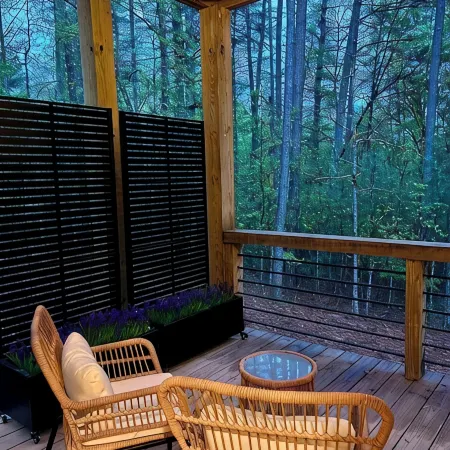 Lux Blue Ridge Cabin, Hot tub, Swing, & PingPong!